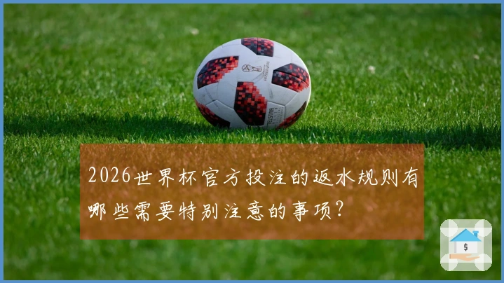 2026世界杯官方投注的返水规则有哪些需要特别注意的事项？