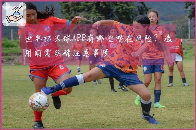 世界杯买球APP有哪些潜在风险？选用前需明确注意事项